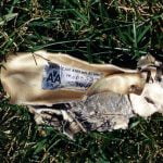 9-11 Pentagon Debris 1