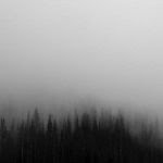 nebel verschleierung fake-news