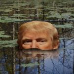 trump versinkt im sumpf