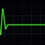 flatline crash
