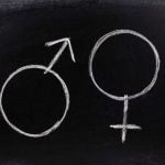 gender_studien