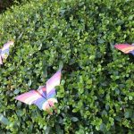 origami schmetterlinge seattle