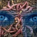 Gemengelage am 16. März 2020