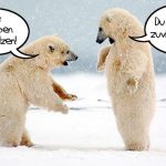 Der Klimawandel und die Selbstzerstörung der US-Demokraten