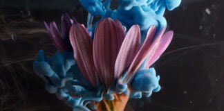 Sonntag, der 13. oder: Zielgruppen und Wirkungen