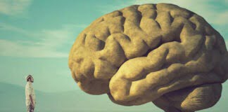 Verstopfung und sonstiger geistiger Dünnpfiff